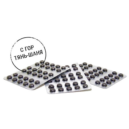 Мумие очищенное таблетки массой 0,2 г 60 шт