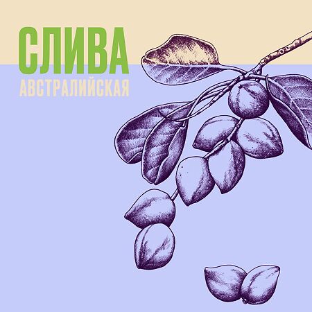 Aussie Aussome Volume Шампунь для тонких волос 300 мл 1 шт