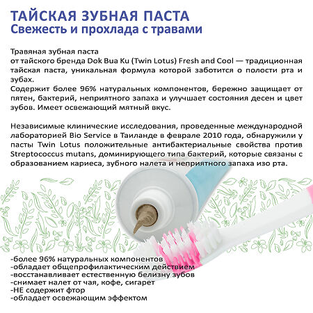 Twin Lotus Зубная паста свежесть и прохлада с травами 100 г 1 шт