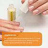 Belweder Лак для расслаивающихся ногтей с витамином С 8 мл 1 шт