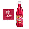 Вода Зайечицкая горькая/Zajecicka Horka минеральная лечебная негазированная ПЭТ 0,5 л 1 шт