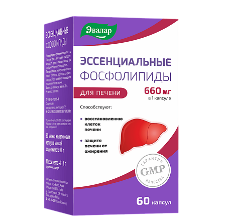 Изображение товара Эссенциальные фосфолипиды капсулы 0,8 г 60 шт — поддержка печени и нервной системы