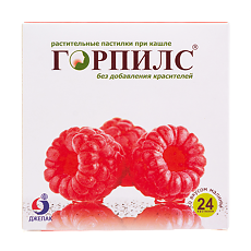 Изображение товара Горпилс растительные пастилки со вкусом малины массой 2,5 г 24 шт