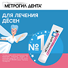 Метрогил Дента гель стоматологический 20 г 1 шт