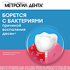 Метрогил Дента гель стоматологический 20 г 1 шт
