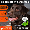 Rolf Club 3D Ошейник для собак крупных пород 75 см