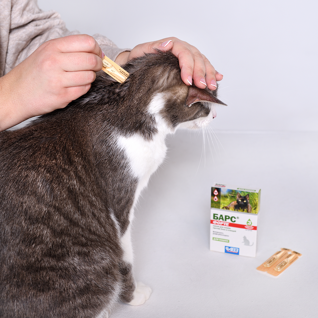 Барс Форте Капли Для Кошек Против Блох И Клещей Пипетки 3 Шт.