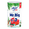Мягкий Знак Полотенца бумажные Mr.Big белые 2-х слойная 1 шт