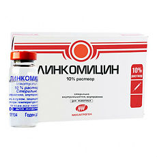 Купить Линкомицин раствор для инъекций 10% фл 10 мл ВЕТЕРИНАРНЫЙ 1 шт цена