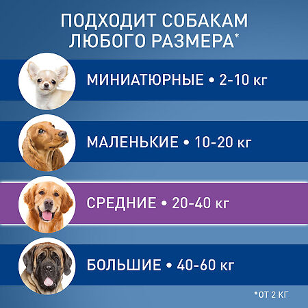 Фронтлайн Спот Он L капли на холку для собак 20-40 кг пипетка раствор для наружного применения 2,68 мл 1 шт