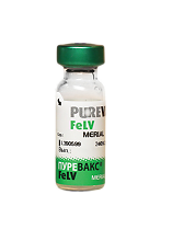 Купить Пуревакс FeLV вакцина для кошек суспензия для инъекций 1 доза 1 шт (вет) цена