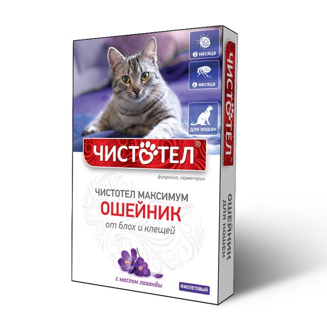 Изображение товара Чистотел Максимум Ошейник от блох и клещей для кошек фиолетовый 1 шт. Изображение товара Чистотел Максимум Ошейник от блох и клещей для кошек фиолетовый 1 шт.