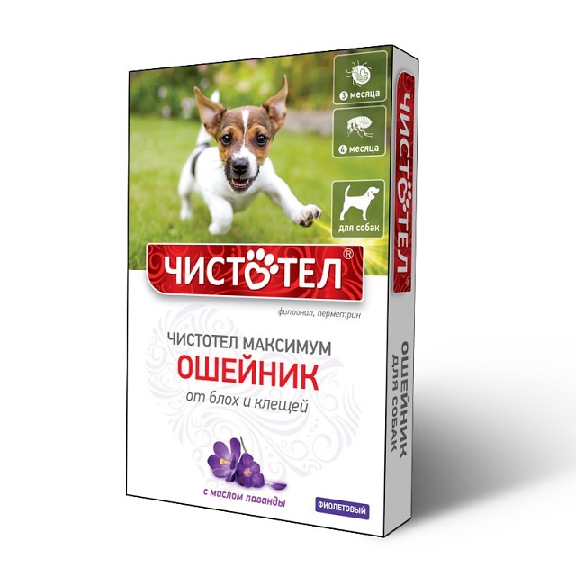 Изображение товара Чистотел Максимум Ошейник от блох и клещей для собак фиолетовый 65 см 1 шт. (вет)