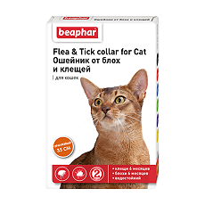 Купить Беафар (Beaphar) Flea & Tick Collar Ошейник для кошек оранжевый от блох 6 мес. и клещей 6 мес. 35 см 1 шт. цена