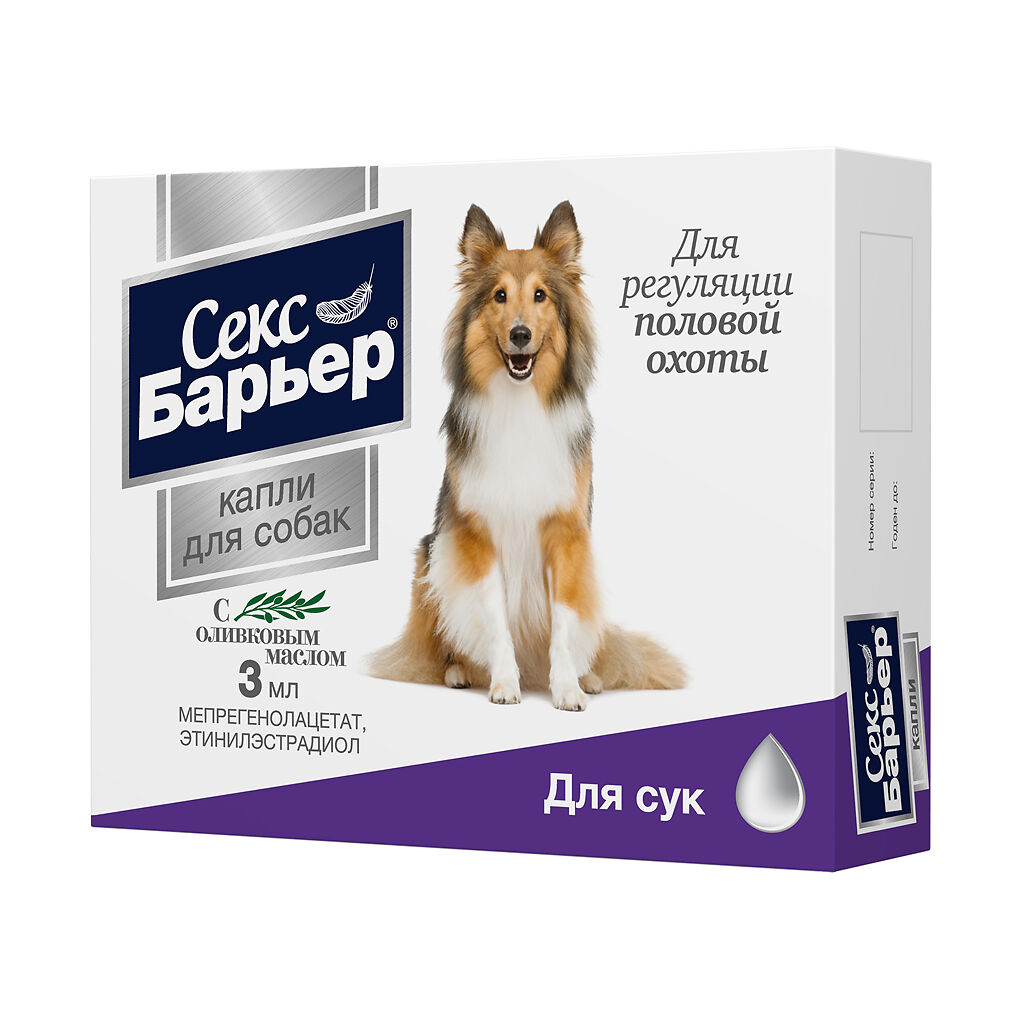 собака - конский секс