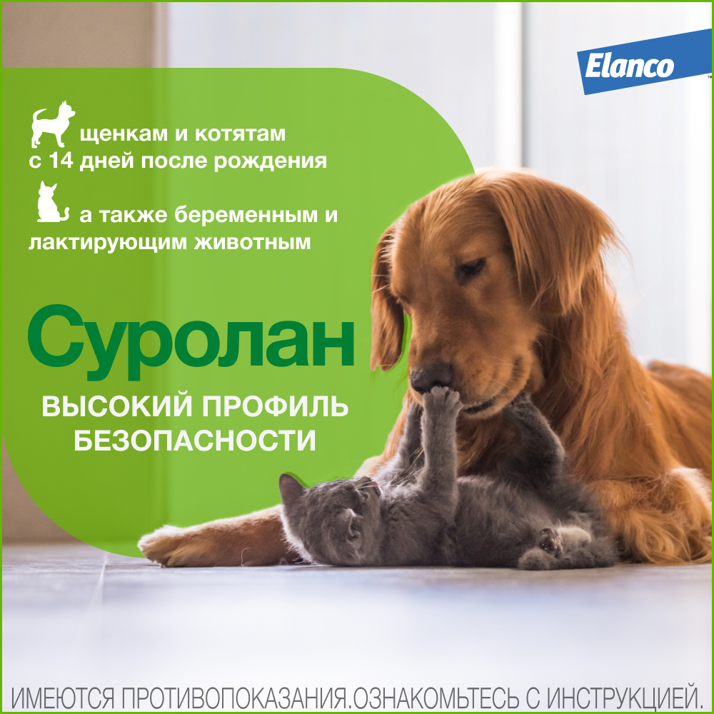 Суролан для собак - исчерпывающая инструкция, отзывы владельцев и подробные аналоги препарата. Полезная информация для заботливых хозяев питомцев. Суролан для собак: инструкция по применению, отзывы, аналоги - полезная информация для владельцев питомцев