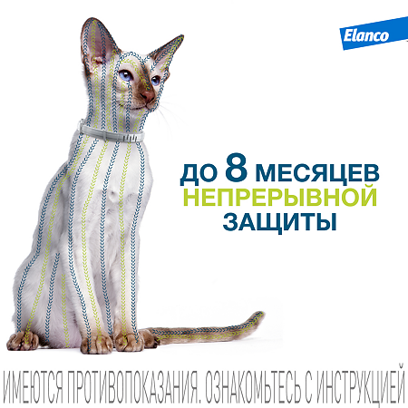 Форесто Ошейник от блох, вшей и клещей для кошек 38 см (вет)