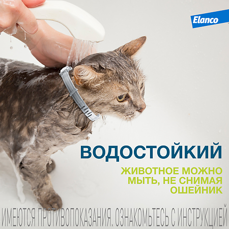 Форесто Ошейник от блох, вшей и клещей для кошек 38 см (вет)