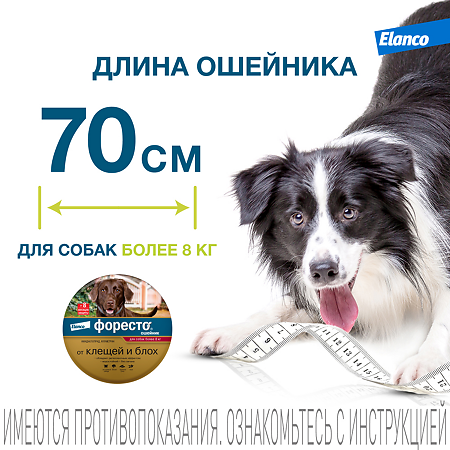 Форесто Ошейник от блох, вшей и клещей для собак более 8 кг 70 см (вет)