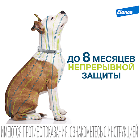 Форесто Ошейник от блох, вшей и клещей для собак более 8 кг 70 см (вет)