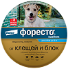 Форесто Ошейник от блох, вшей и клещей для собак менее 8 кг 38 см (вет)