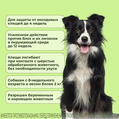 Фиприст Комбо капли на холку для собак 10-20 кг 1,34 мл пипетка 1 шт