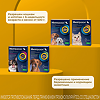 Милпразон антигельминтик таблетки для котят и кошек до 2 кг 4 мг/10 мг 2 шт