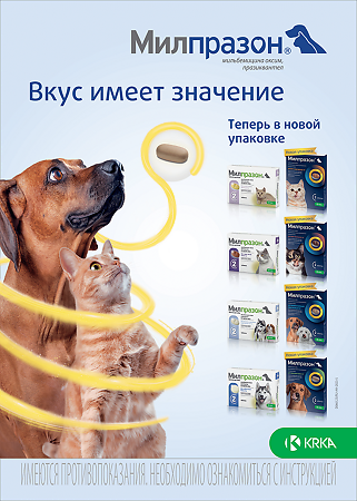 Милпразон антигельминтик таблетки для котят и кошек до 2 кг 4 мг/10 мг 2 шт