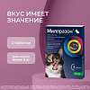 Милпразон антигельминтик таблетки для кошек более 2 кг 16 мг/40 мг 2 шт