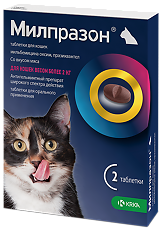 Купить Милпразон антигельминтик таблетки для кошек более 2 кг 16 мг/40 мг 2 шт цена