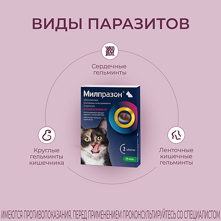 Милпразон антигельминтик таблетки для кошек более 2 кг 16 мг/40 мг 2 шт