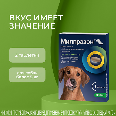 Милпразон антигельминтик таблетки для собак более 5 кг 12,5 мг/125 мг 2 шт