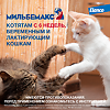 Мильбемакс таблетки 4 мг/10 мг от гельминтов со вкусом говядины для котят и маленьких кошек 2 шт
