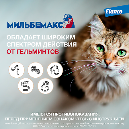 Мильбемакс антигельминтик для кошек 16 мг/40 мг таблетки 2 шт
