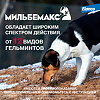 Мильбемакс от гельминтов для крупных собак 12,5 мг/125 мг таблетки 2 шт