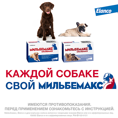 Мильбемакс антигельминтик для маленьких собак и щенков таблетки 2,5 мг/25 мг 2 шт