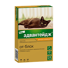Купить Адвантейдж Капли на холку от блох для котят и кошек до 4 кг пипетка по 0,4 мл 4 шт цена