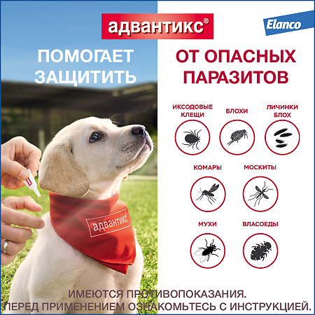 Адвантикс (Advantix) капли на холку для собак от блох,клещей и летающих насекомых от 4 до 10 кг пипетки 4 шт