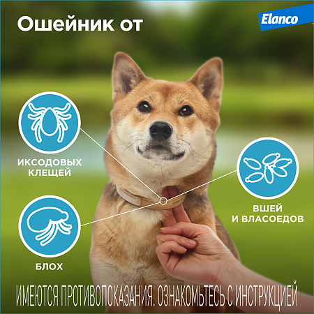 Килтикс Ошейник от клещей и блох для собак мелких пород 35 см