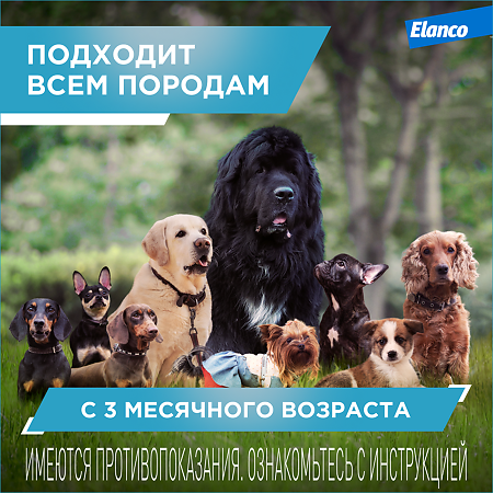 Килтикс Ошейник от клещей и блох для собак мелких пород 35 см