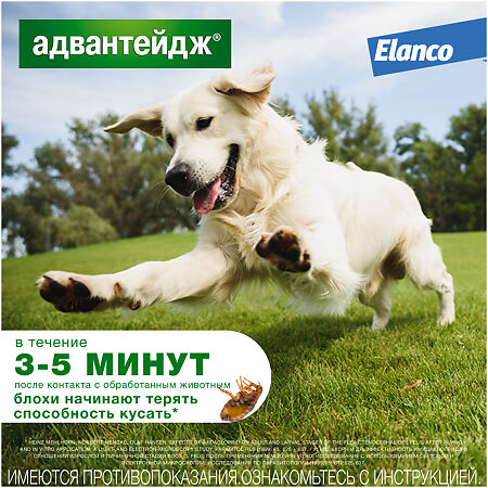 Адвантейдж (Advantage) Капли для собак от блох до 4 кг пипетки раствор для наружного применения 4 шт