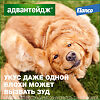 Адвантейдж Капли на холку от блох для собак от 4 до 10 кг пипетки по 1 мл 4 шт