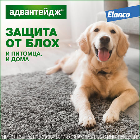 Адвантейдж (Advantage) Капли для собак от блох от 4  до 10 кг пипетки раствор для наружного применения 4 шт