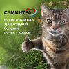 Семинтра раствор для приема внутрь 4 мг/мл для лечения хронической болезни почек у кошек с дозатором фл 30 мл (вет)