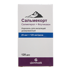 Купить Сальмекорт аэрозоль для ингаляций дозированный 25 мкг+125 мкг/доза 120 доз 1 шт цена
