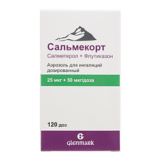 Изображение товара Сальмекорт аэрозоль для ингаляций дозированный 25 мкг+50 мкг/доза 120 доз 1 шт