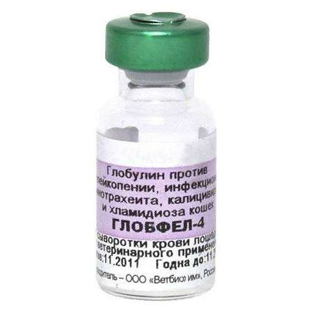 Глобфел-4 раствор для инъекций для кошек 1 доза фл ВЕТЕРИНАРНЫЙ 1 шт