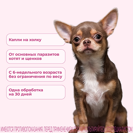 Селафорт для кошек и собак (менее 2,5 кг) пипетка 0,25мл/15мг 1 шт