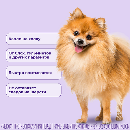 Селафорт для собак (2,6 - 5 кг) пипетка 0,25мл/30мг 1 шт