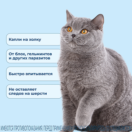 Селафорт для кошек (2,6 - 7,5 кг) пипетка 0,75мл/45мг 1 шт